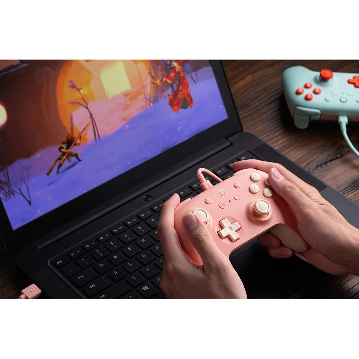 8bitdo Ultimate 2c verkabelt
