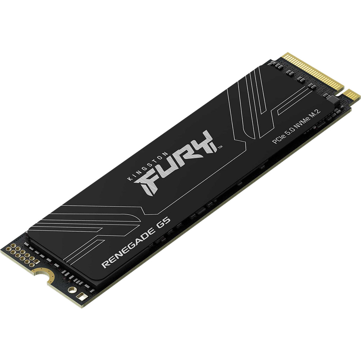 Kingston Renegade G5 1 TB SSD (schwarz, sfyr2s 1t0, pcie 5.0 x4, nvme, m.2 2280)