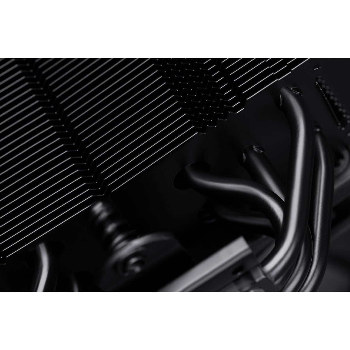 Noctua noctua nh-u12s chromax.black