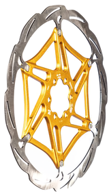 Formelscheibe 2-teilig - 6 Schrauben - ø203mm - Gold