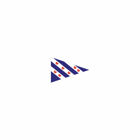 Dokkumer Flaggen Zentralpunktflagge Friesland 20x30 cm