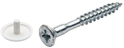 Homefix kopboringschroef vz pk pz2 met kap wit 4.5x30 | 10 stuks - 6701.20.42010