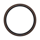 Schwalbe Reifen 28-1,50 (40-622) Big Ben Active Bruin R.