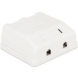 Delock Keystone Oberflächenbox 2 Port
