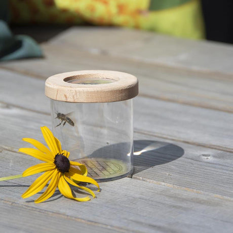Esschert Design Holz-Insekten-Lernkasten