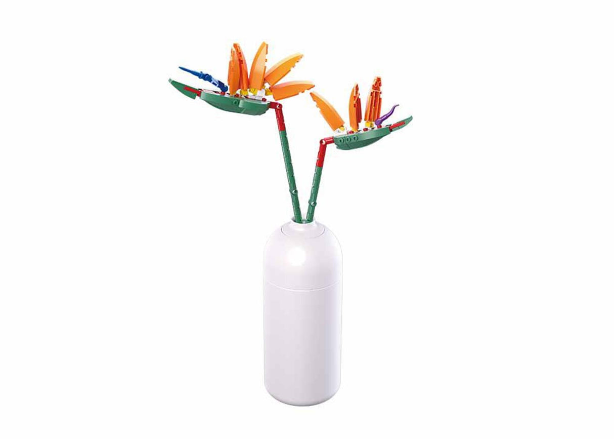 Sluban strelitzia reginae aiton (m38-b1101-01)