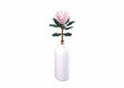 Sluban-Blüten Riesenprotea cynaroides 219 Stück
