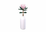 Sluban-Blüten Riesenprotea cynaroides 219 Stück