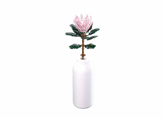 Sluban-Blüten Riesenprotea cynaroides 219 Stück