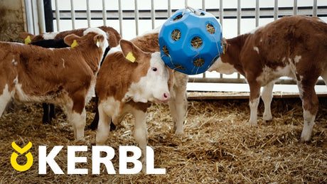 Produkte Lebensmittel Spielball blau