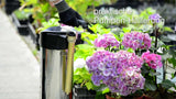 Gloria Drucksprüher 505t Edelstahl 5 Liter