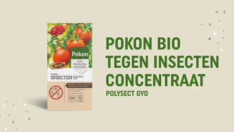 Pokon-Produkte Bio gegen Insekten Konzentrat 225 ml Polysect Gyo