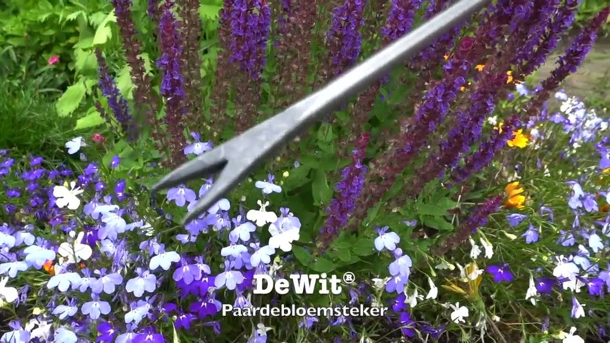 Die weißen Produkte Bio-Löwenzahnstecker Eschenstiel 14cm stardewitstar