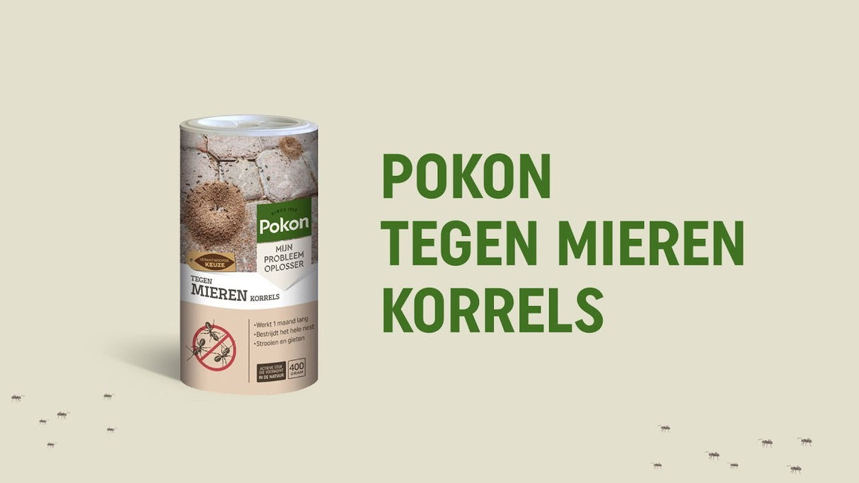 Pokon-Ameisenpellets 250gr