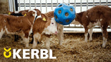 Produkte Lebensmittel Spielball blau