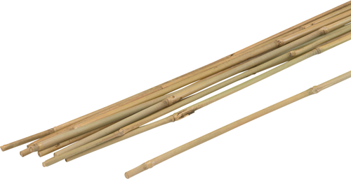 Meister Pflanzenstab Bambus 150cm (10 Stück) - wu9966420