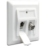 Delock Keystone Wall Outlet 2 Port