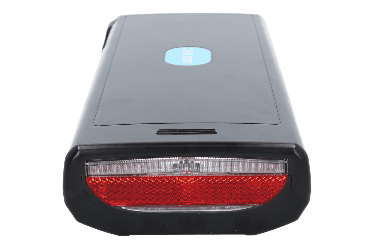 Batavus Yanec Fahrradbatterie E-Motion E-300 E-400 E-500 13Ah Schwarz
