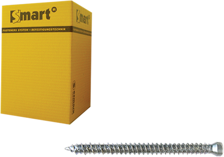 Pgb-europa smart | Rahmenschraube ck-t30 ø 7,50x112 zn | 100 Stück sm0wsc0010751123