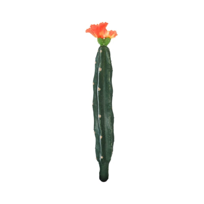 Kaktus mit Blüte orange grün 23 cm | 24 Stück