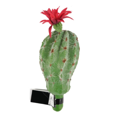 Kugelkaktus mit Blüte rot grün 15 cm | 48 Stück
