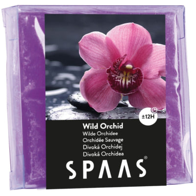 Spaas (r) Wachs schmilzt wilde Orchidee 6,5 cm | 24 Stück
