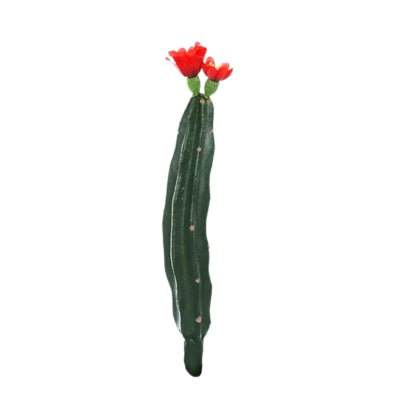 Kaktus mit Blüte rot grün 23 cm | 24 Stück