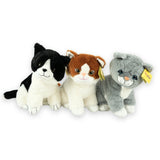 Sunkid Katze schwarz-weiß 40 cm | 6 Stück