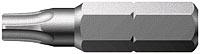 Magna Bit 1 4 Resitorx T20 25