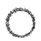 Ring led zwart 400 leds ø48cm