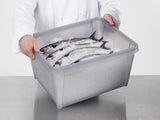 SmartStore Dry 45 Speicherbox 50 Liter Polypropylengrau
