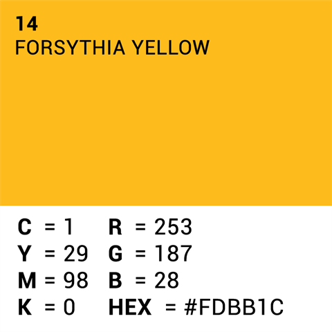 Carta di sfondo superiore 14 Forsythia giallo 1,35 x 11m