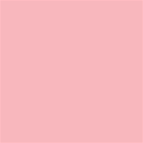 Documento de fondo superior 17 Cernation Pink 1.35 x 11m