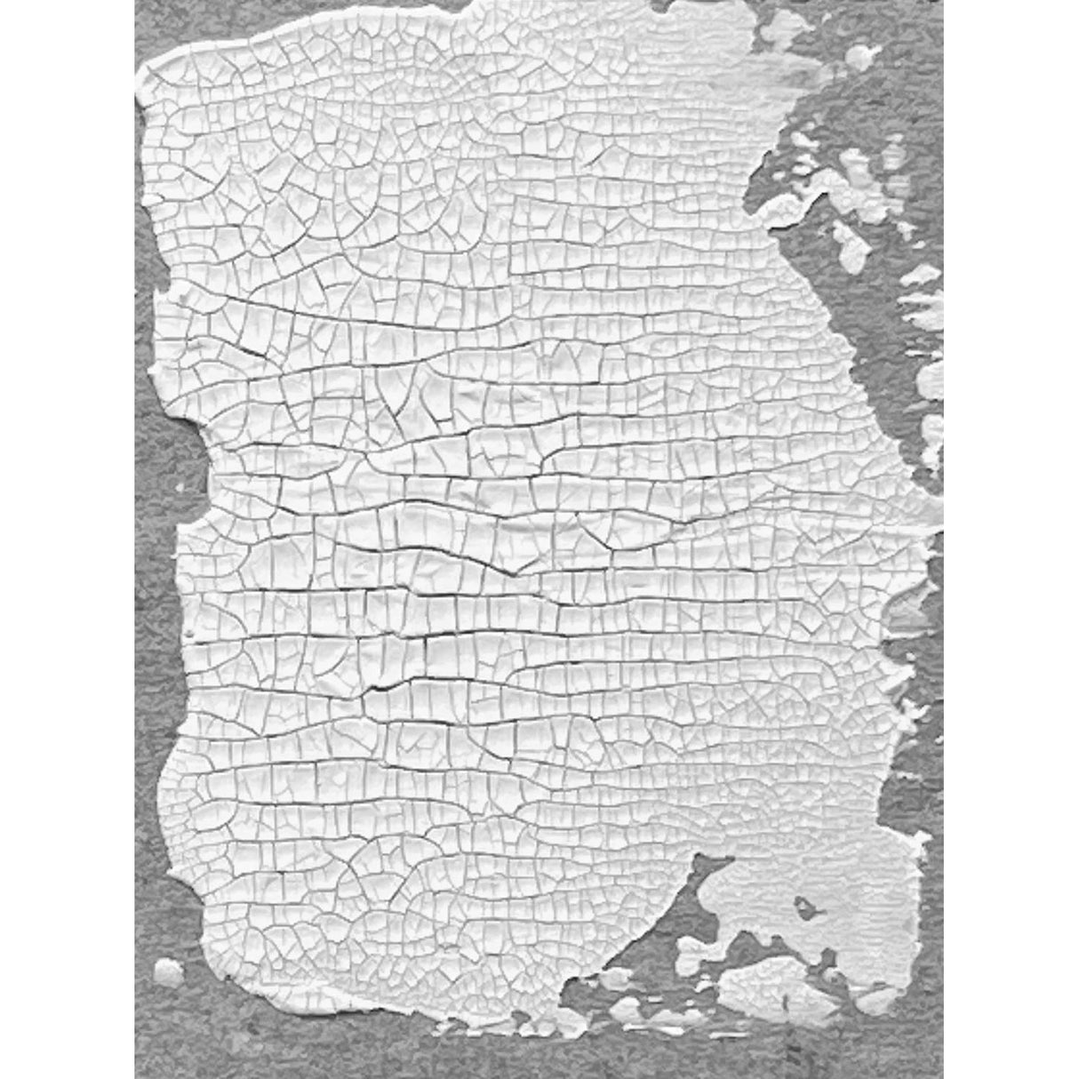 Ranger Tinte Ranger • Tim Holtz Distress Texture Paste Crackle