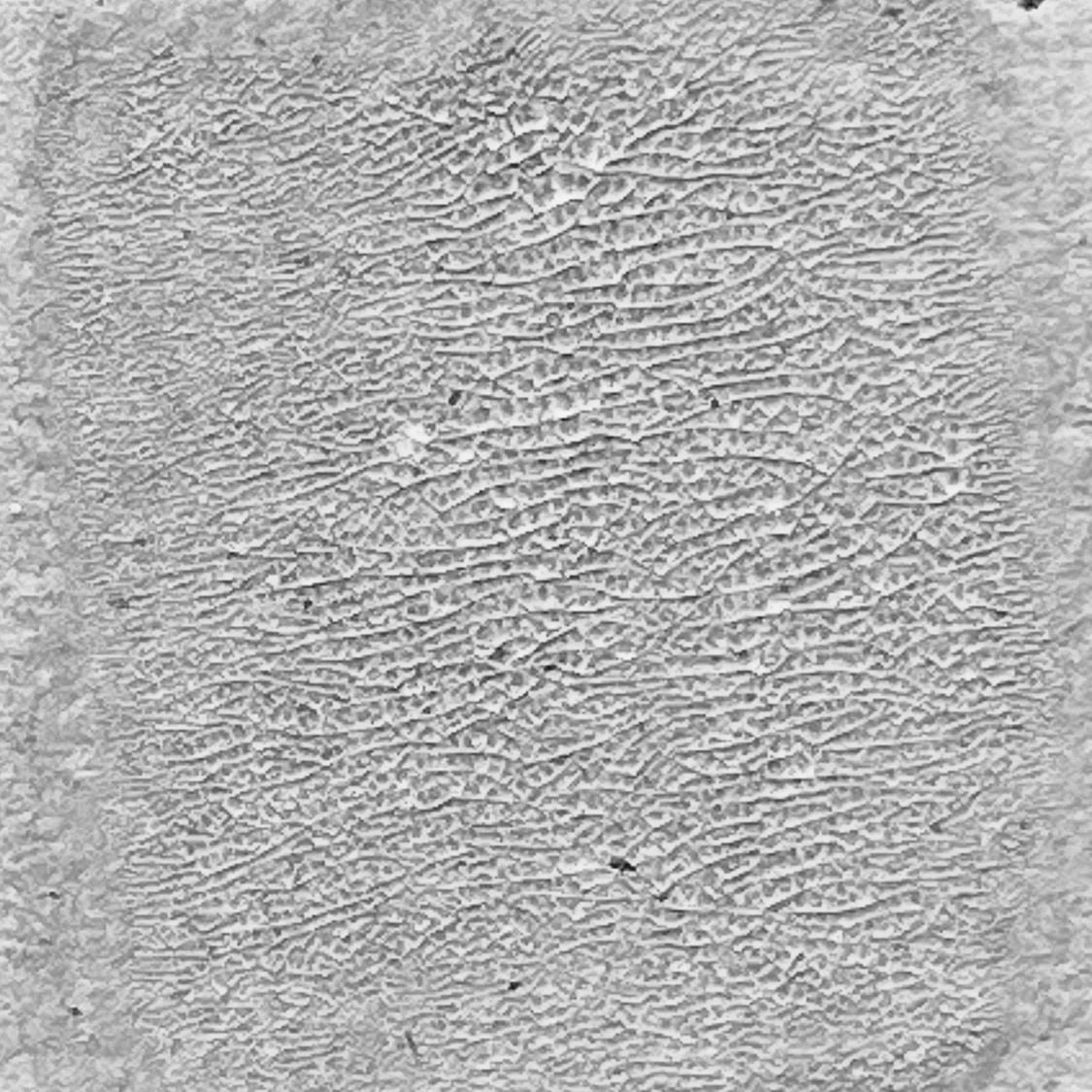 Ranger Tinte Ranger • Tim Holtz Distress Crackle Paint durchscheinend