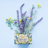 Nesti Dante Lavanda Blu del Mittelmeero Seife 150gr.