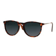 Spectrum Sonnenbrille Schildkröte Gold Rauchglas Unisex