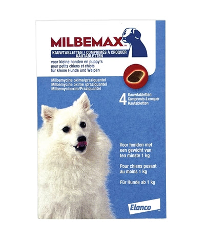 Milbemax masticando tableta desorden cachorro pequeño perro