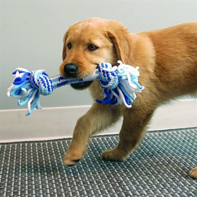 Kong Rope Stick Flostouw Puppy Assorti