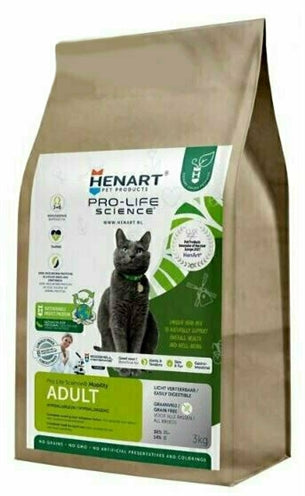 Henart insecto gato adulto con él membrana de cáscara de huevo