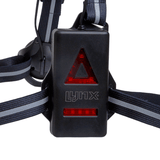 Lynx leeft Liicht USB Bolt