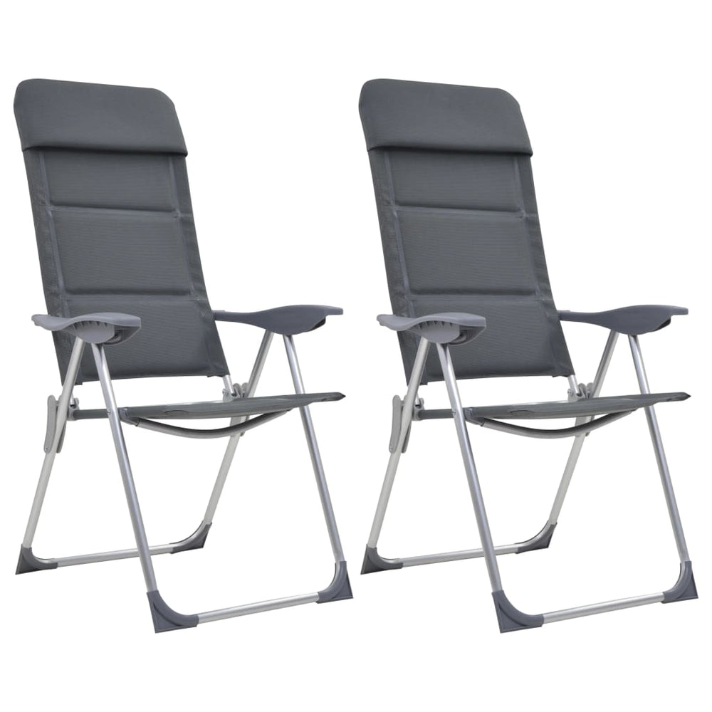 Vidaxl Campingstühle 58x69x111 cm Aluminiumgrau 2 PCs