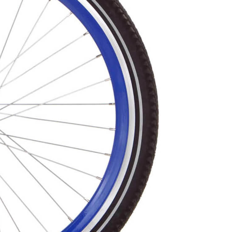 Alpina Velg 24 J19DB Azul