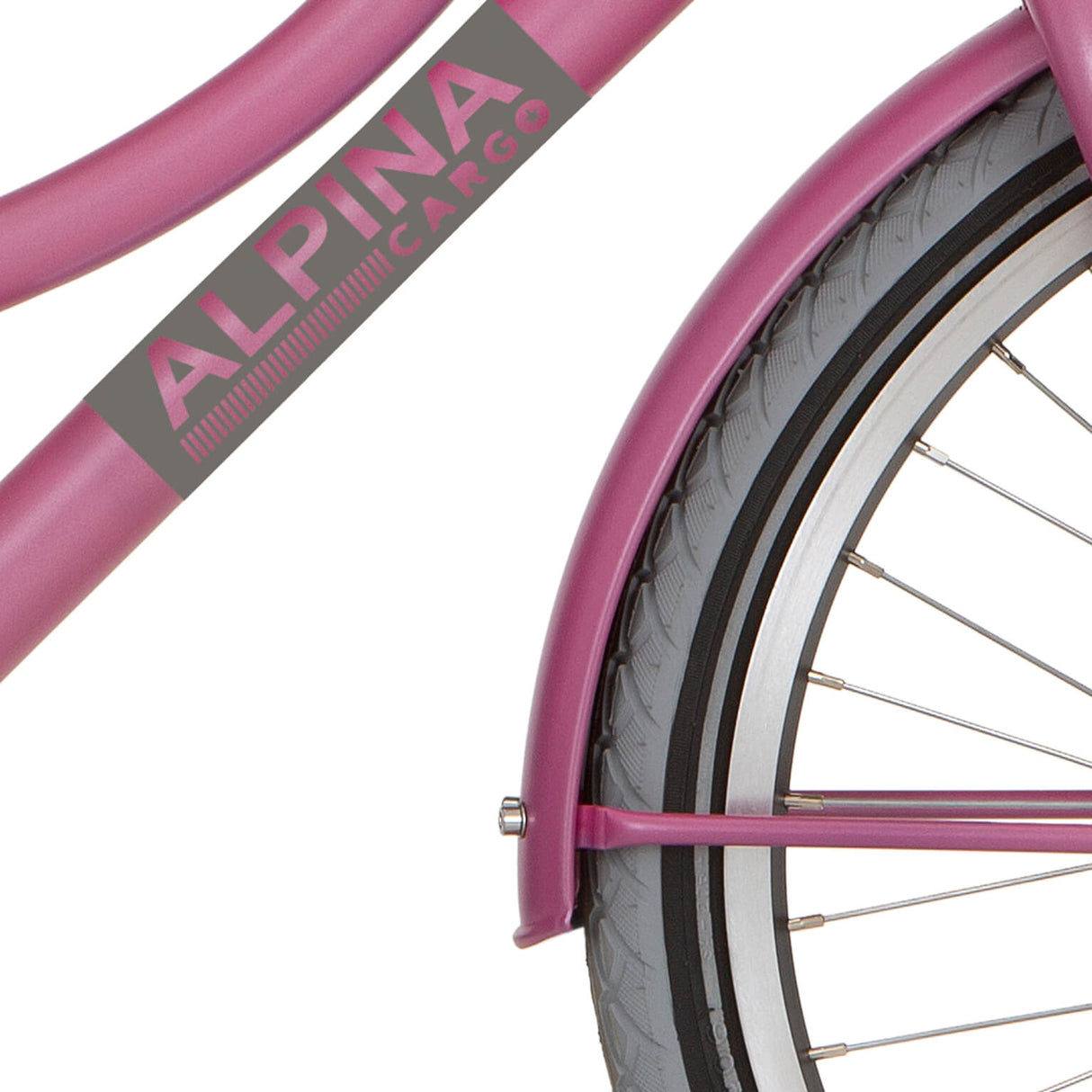 Alpina Fortboard Set 22 Cargo Fuchsia Pink Matt