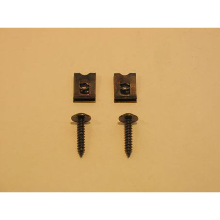 BOFIX 244539 Juego de tornillo de placa 3.9-19 P 25