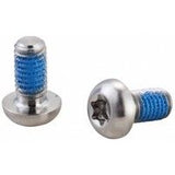 Elvedes Brake Disc Bolts Torx Titanium (P6)