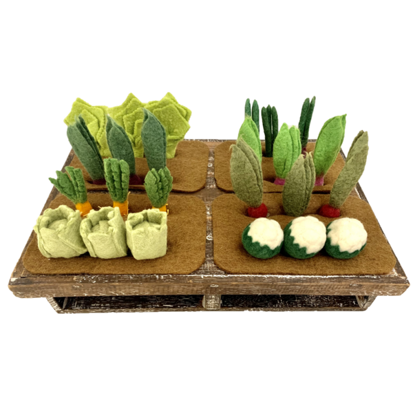 Hračky Papoose hračky Papoose Grow-a-Garden 24pc