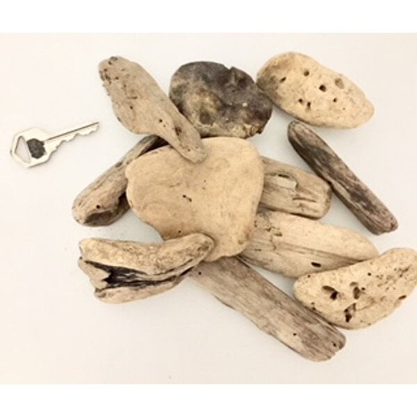 Papoose Toys Papoose Toys Small Driftwood 10pc