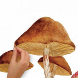 Mitbewohner Wandaufkleber Pilz Junior 83,51 x 127 cm Braun
