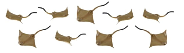 Safari Roggen Play Animal Set Junior 2 cm Brown 192 Stücke